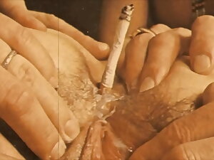 'Vintage Bizarre' Pitch-black Lantern Relaxation donations My Secret Life, the 19th century diaries of an English gentleman